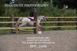 BPP_1646