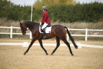 SBM_001338