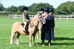 SBM_36856