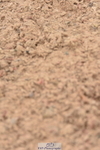 231011A-113456-00248