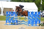 368-COIRBAN_SARCO_DELUX-Rebecca_Gibbs-SUNTrotUp+SJ portfolio