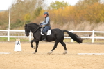 SBM_000987