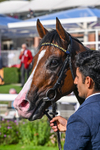 060926-Race 5-Extremely Zain-8582