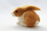 Dutch Rabbit (Tan version) Photo 3