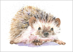 Hedgehog Fine Art Print 474
