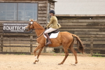 SBM_000354
