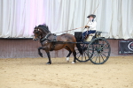 SBM_000179