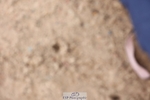 250719-100742-13802