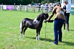 SBM_03385