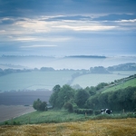 Landscape-038