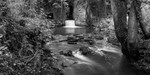 Lower Forge in Monochrome