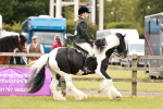 SBM_06179