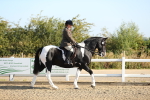 SBM_01101