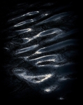 Reflections_25220_RLP0055