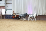 SBM_000623