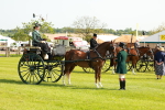 SBM_01204