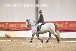 BPP_8457