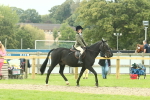 SBM_73981