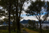 Mt Warning from old Tyalgum tip site park 2