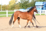SBM_08637