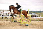 SBM_024476