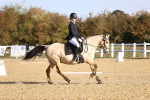 SBM_009095
