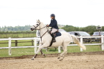 SBM_006093