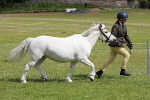 SIAL6451