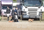 CLASS 11 SAT Andrew Hamilton Coach, RHS Foxhunter Championship Qualifier portfolio