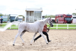 SBM_03967