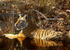 Royal bengal tiger - 4