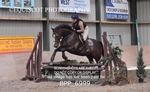 BPP_6999