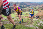 Stybarrow Dodd-479