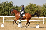 SBM_007503