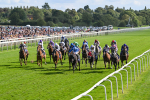 240824-Race 5-Elmonjed-1737