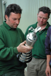 The Groundsmen 2