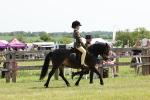 SBM_05204
