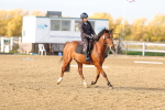 SBM_001203