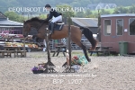 BPP_1207