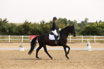 SBM_005309