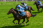 230526-Race 1-Lord Roxby-0304