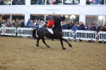 SBM_004522