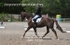 BPP_6328