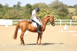 SBM_010199