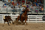 _DSC3371