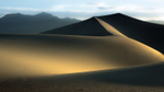 Shades of Mesquite