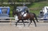 BPP_6248