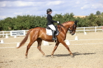 SBM_015264