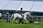 SBM_03723