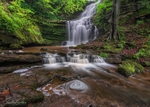 Scaleber Force